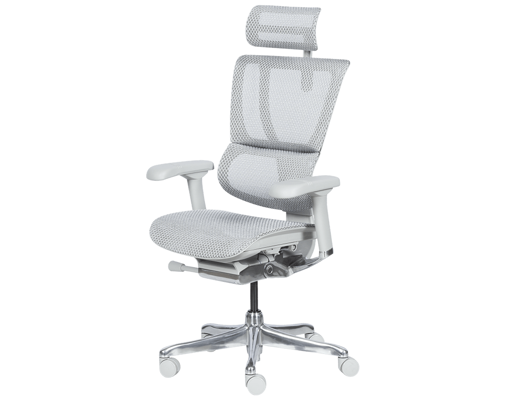 Офис стол Ергономичен стол ERGOHUMAN IOO ELITE 2 - сив 20