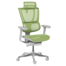  Ергономичен стол ERGOHUMAN IOO ELITE 2 - зелен 827576 3520670 на топ цена - PIC.bg
