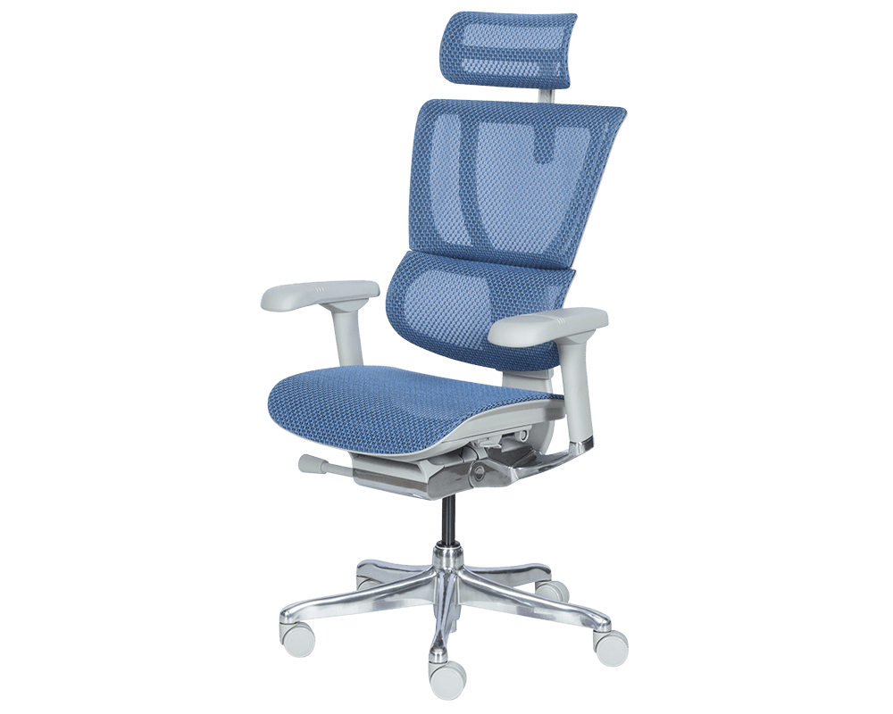 Офис стол Ергономичен стол ERGOHUMAN IOO ELITE 2 - син 3