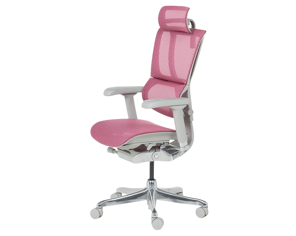 Офис стол Ергономичен стол ERGOHUMAN IOO ELITE 2 - розов 3
