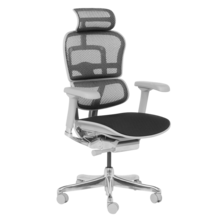  Ергономичен стол ERGOHUMAN ELITE 2 - сива рамка - черен 827857 3520661 на топ цена - PIC.bg