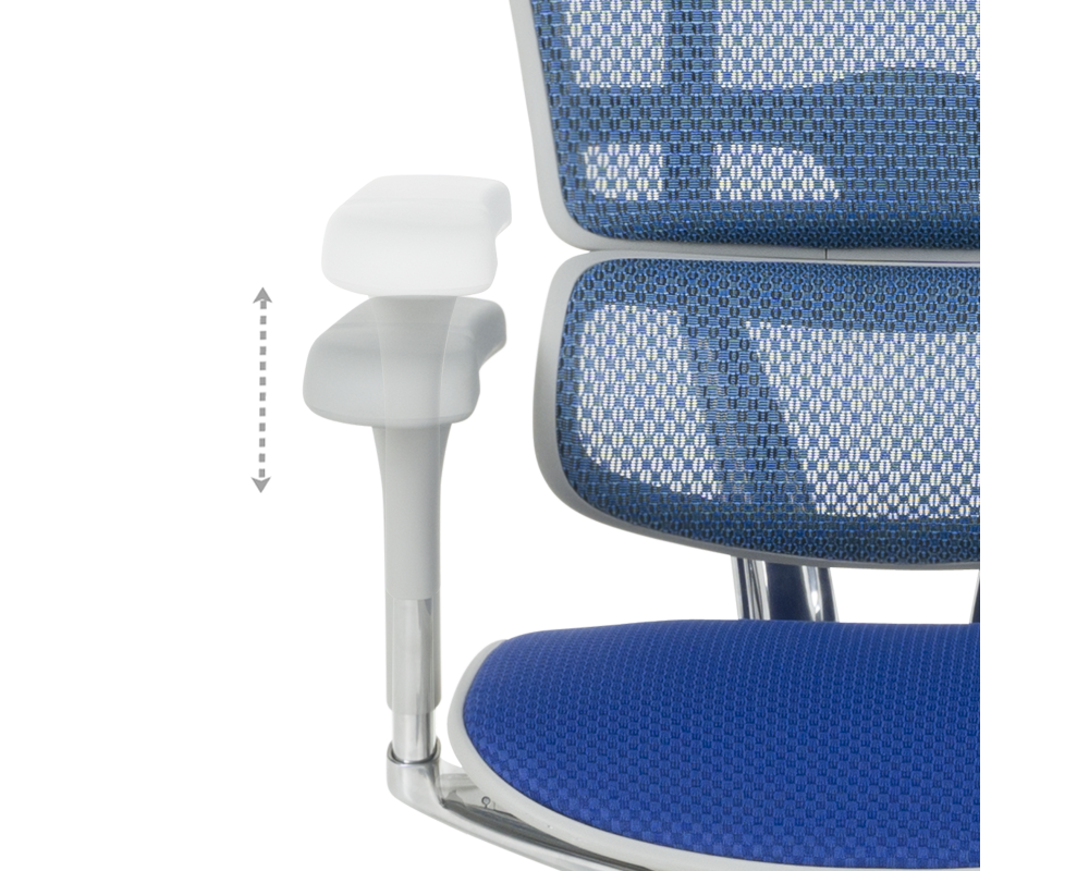 Офис стол Ергономичен стол ERGOHUMAN ELITE 2 - сива рамка - син 14