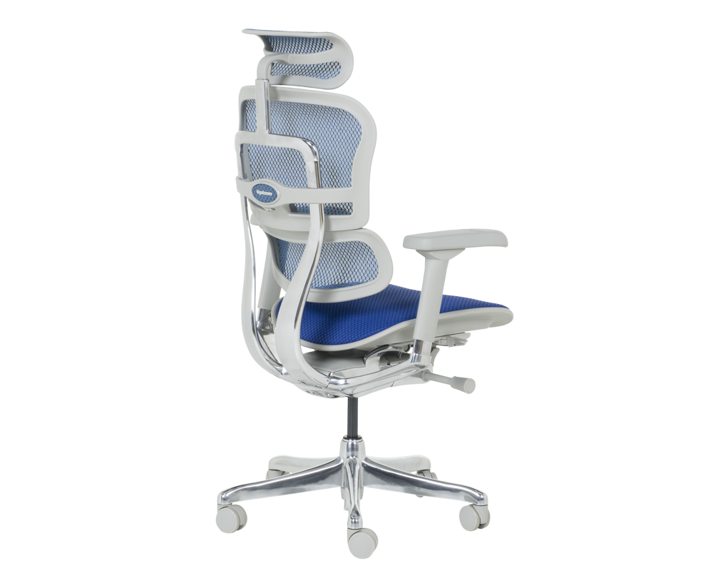 Офис стол Ергономичен стол ERGOHUMAN ELITE 2 - сива рамка - син 5