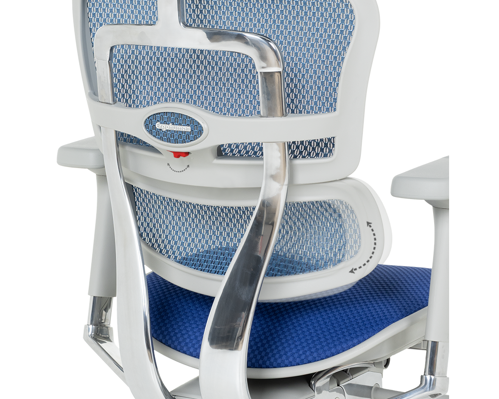 Офис стол Ергономичен стол ERGOHUMAN ELITE 2 - сива рамка - син 18