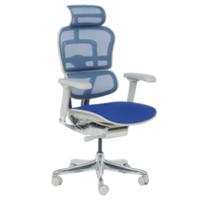  Ергономичен стол ERGOHUMAN ELITE 2 - сива рамка - син 827858 3520664 на топ цена - PIC.bg