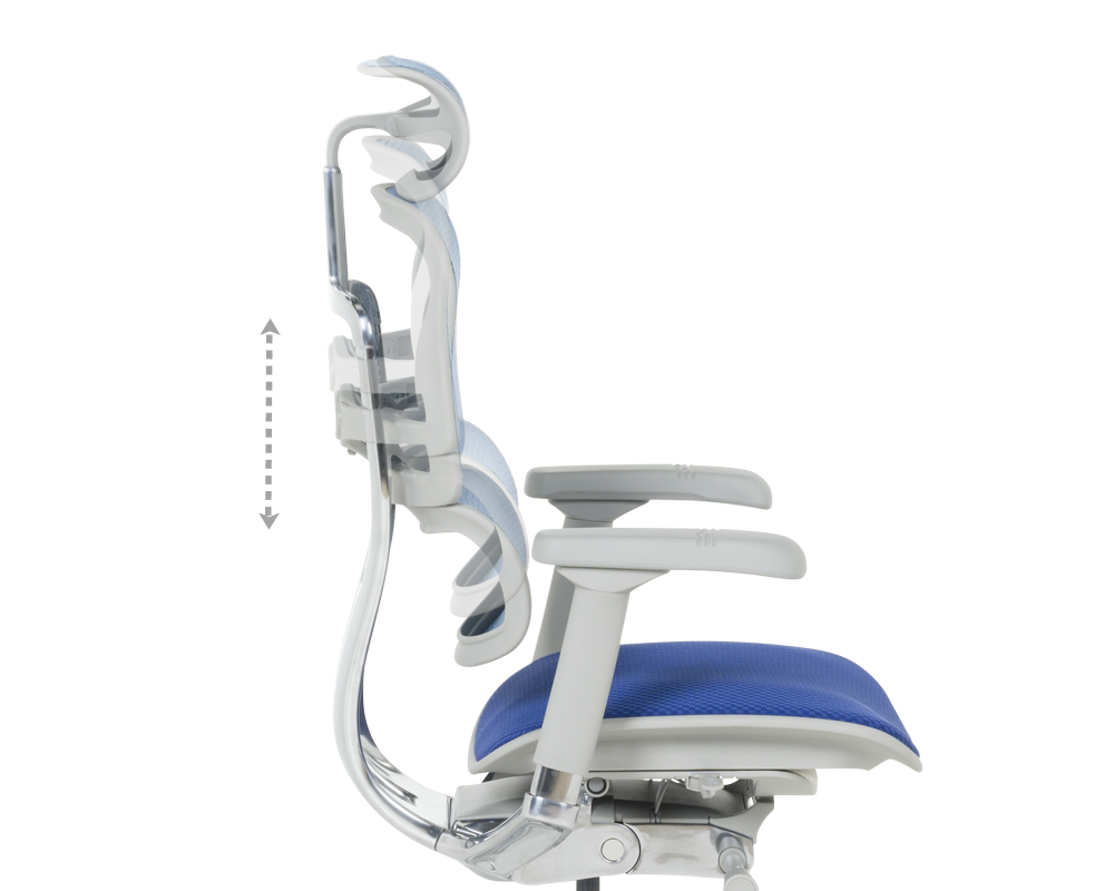 Офис стол Ергономичен стол ERGOHUMAN ELITE 2 - сива рамка - син 7