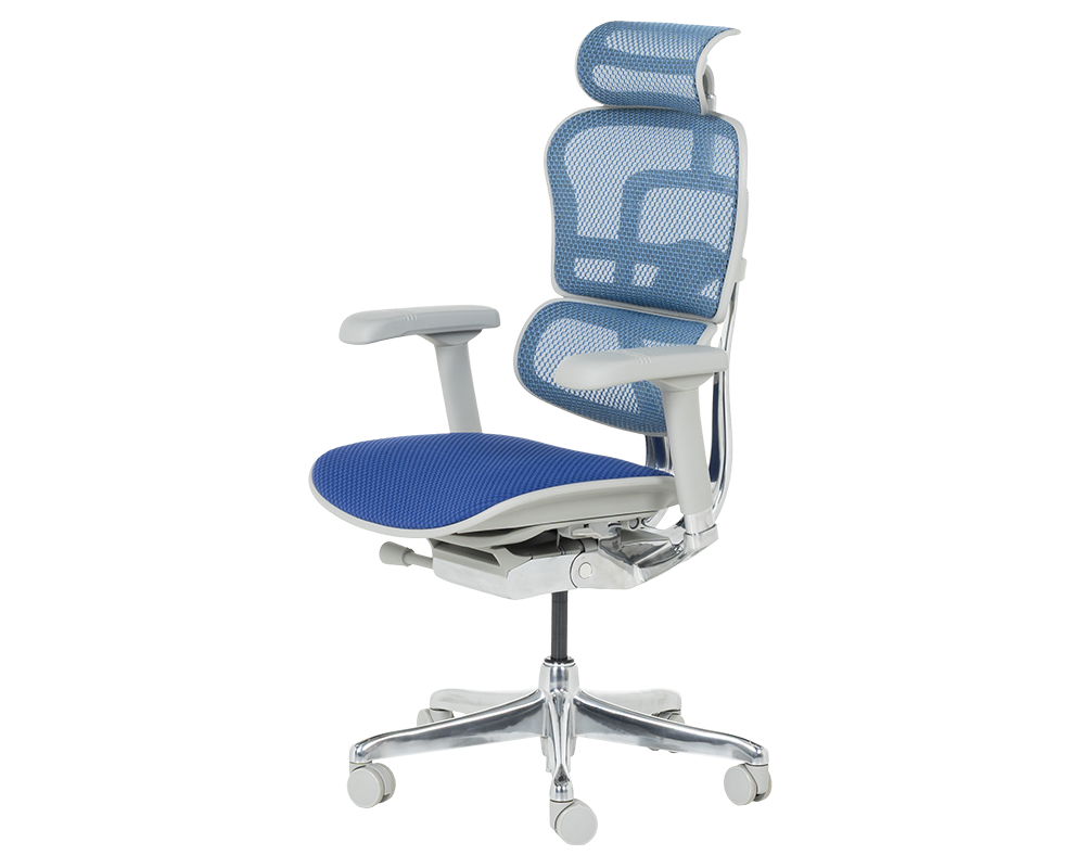 Офис стол Ергономичен стол ERGOHUMAN ELITE 2 - сива рамка - син 3