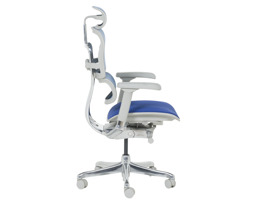 Офис стол Ергономичен стол ERGOHUMAN ELITE 2 - сива рамка - син 4