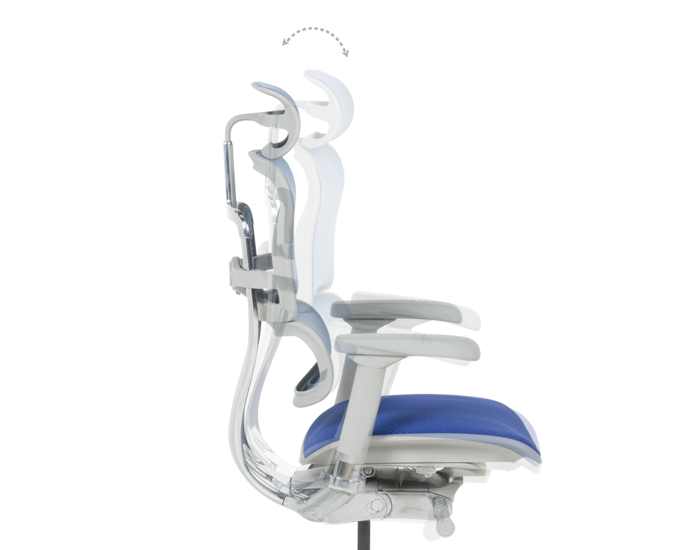 Офис стол Ергономичен стол ERGOHUMAN ELITE 2 - сива рамка - син 9