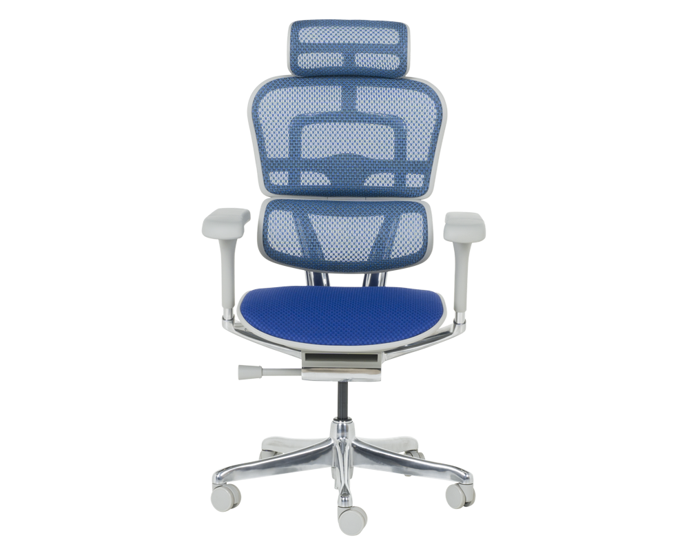 Офис стол Ергономичен стол ERGOHUMAN ELITE 2 - сива рамка - син 2