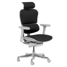  Ергономичен стол ERGOHUMAN ELITE 2 - сива рамка - черен 829595 3520665 на топ цена - PIC.bg