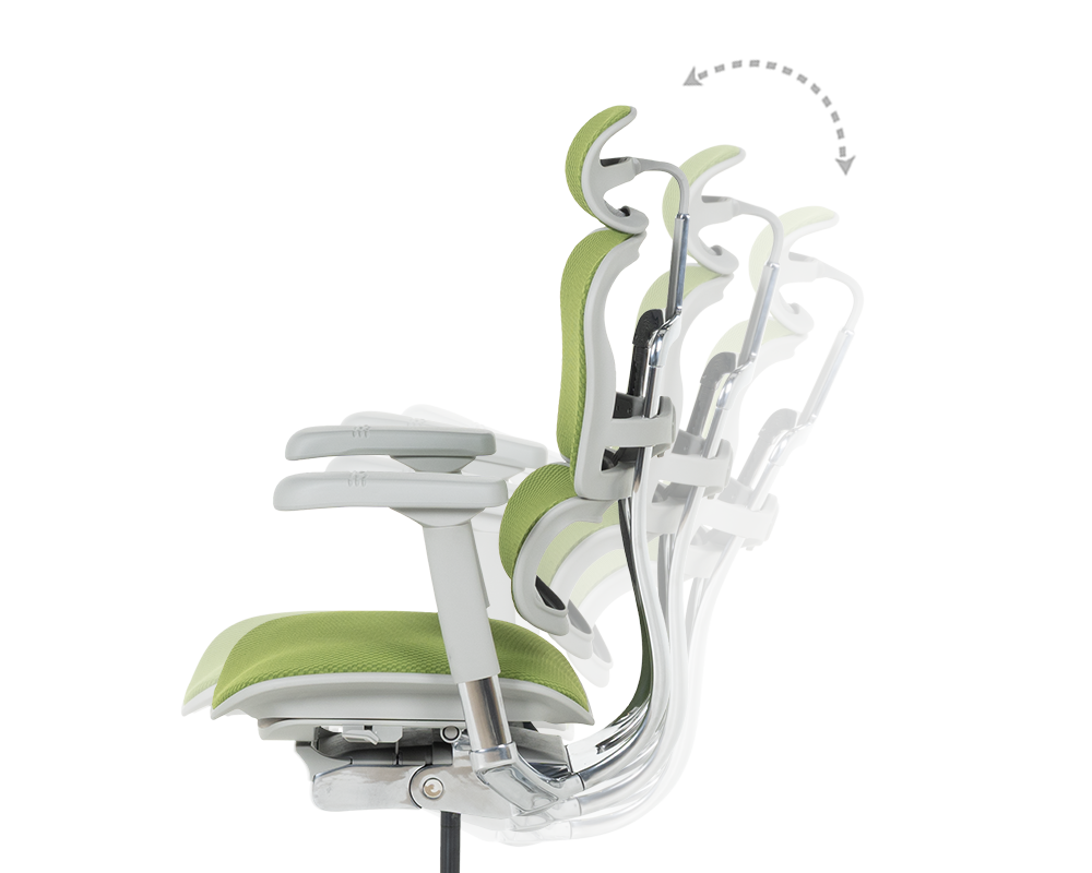 Офис стол Ергономичен стол ERGOHUMAN ELITE 2 - сива рамка - зелен 9