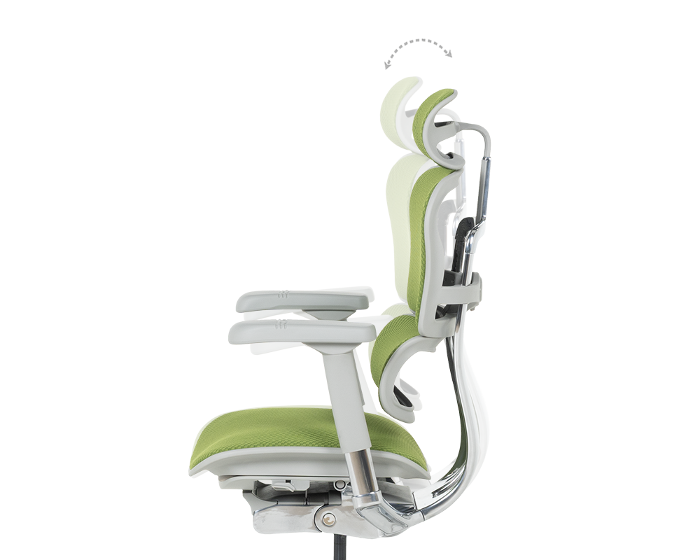 Офис стол Ергономичен стол ERGOHUMAN ELITE 2 - сива рамка - зелен 10