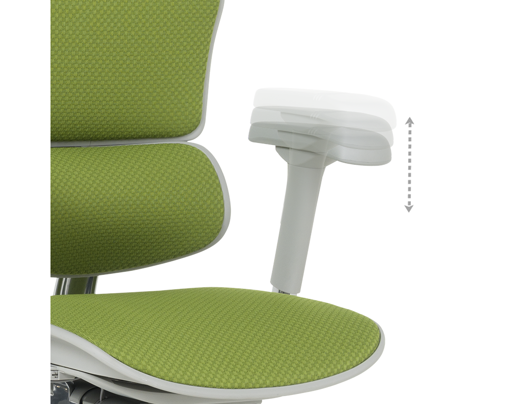 Офис стол Ергономичен стол ERGOHUMAN ELITE 2 - сива рамка - зелен 15