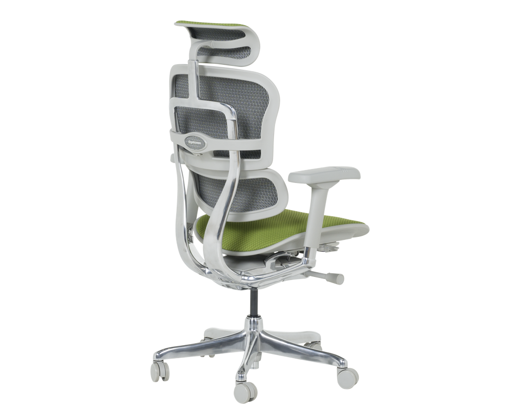 Офис стол Ергономичен стол ERGOHUMAN ELITE 2 - сива рамка - зелен 5