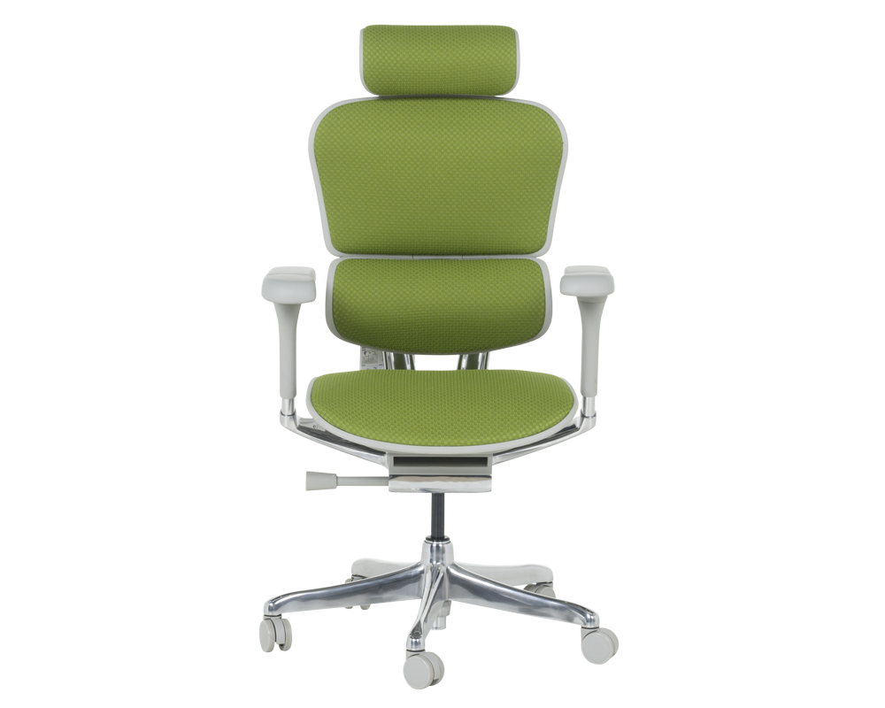 Офис стол Ергономичен стол ERGOHUMAN ELITE 2 - сива рамка - зелен 19