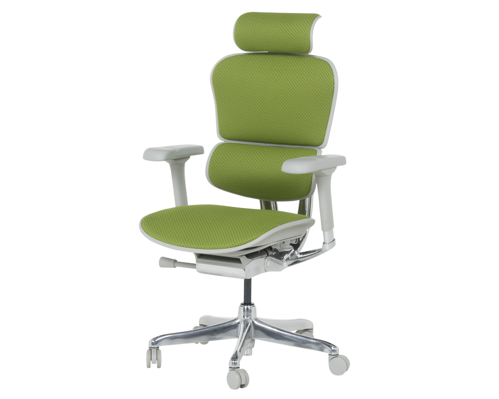 Офис стол Ергономичен стол ERGOHUMAN ELITE 2 - сива рамка - зелен 3