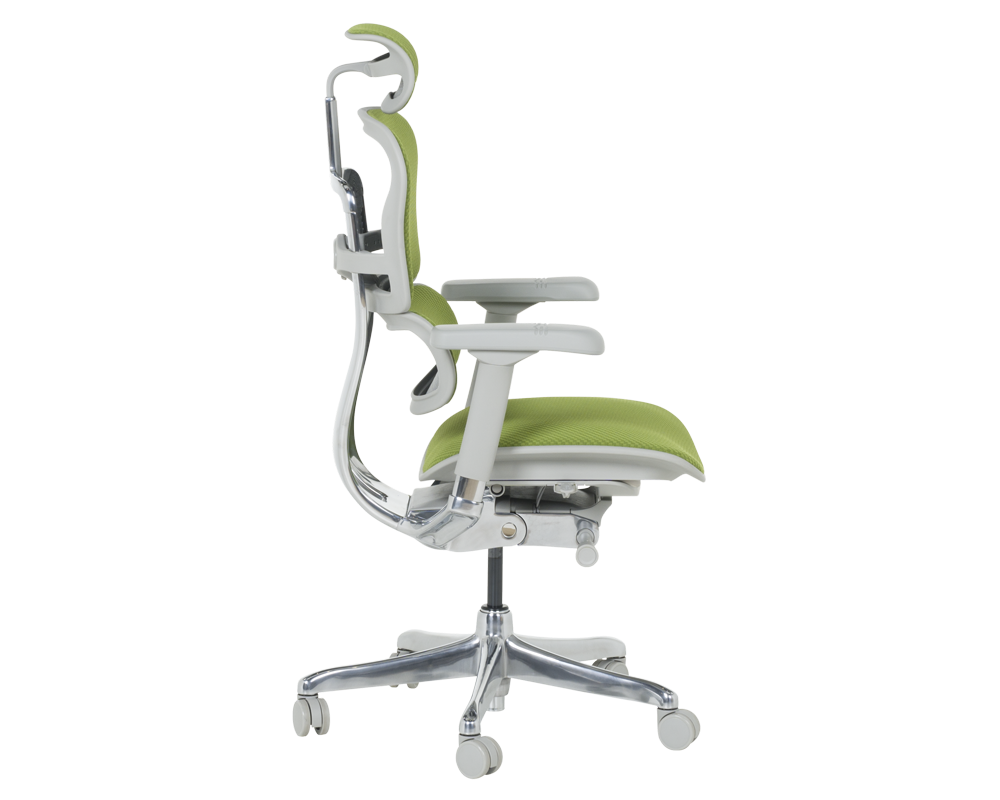 Офис стол Ергономичен стол ERGOHUMAN ELITE 2 - сива рамка - зелен 4