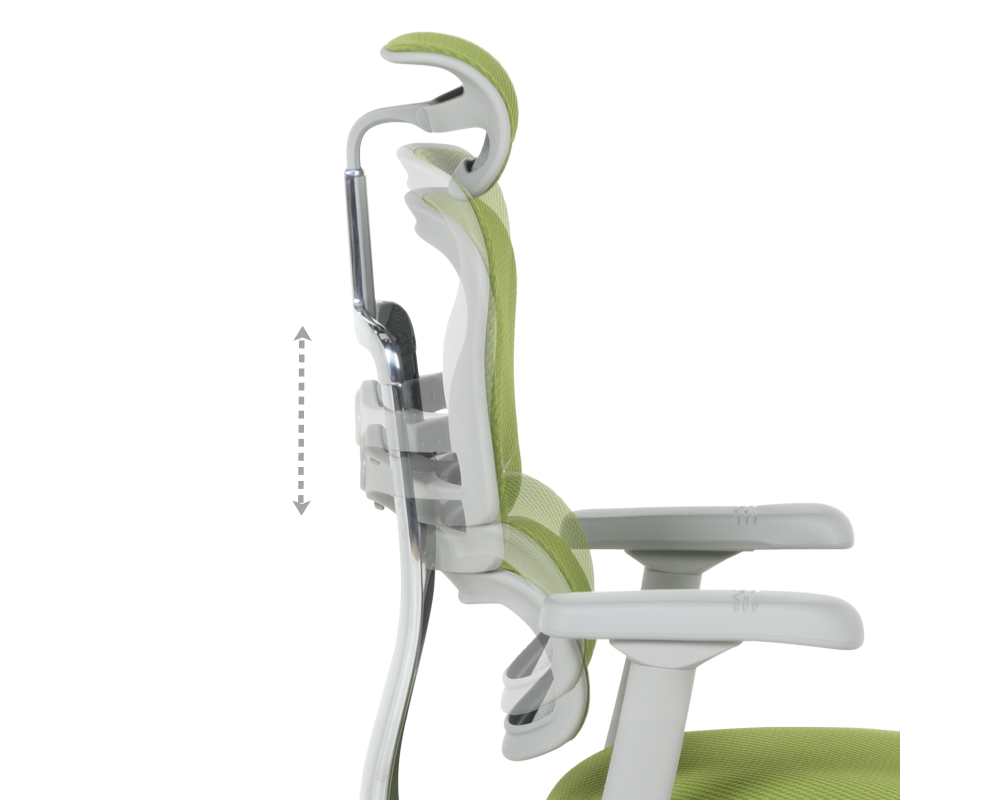 Офис стол Ергономичен стол ERGOHUMAN ELITE 2 - сива рамка - зелен 7