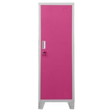  Метален шкаф Carmen CR-1604-1 JZ - Сив / розов 833636 3580173 на топ цена - PIC.bg