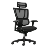 <span>Офис стол</span> Ергономичен стол ERGOHUMAN IOO BUDGET 2 - черна рамка - черен <span class='catalog-num-in-name'>3520680</span> - 