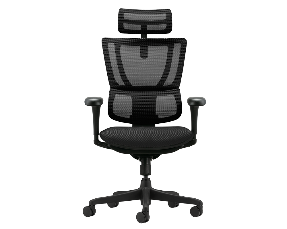 Офис стол Ергономичен стол ERGOHUMAN IOO BUDGET 2 - черна рамка - черен 2