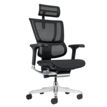  Ергономичен стол ERGOHUMAN ELITE 2 - черна рамка - черен 874423 3520659 на топ цена - PIC.bg