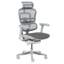  Ергономичен стол ERGOHUMAN ELITE 2 - сива рамка - сив 875004 3520664_1 на топ цена - PIC.bg