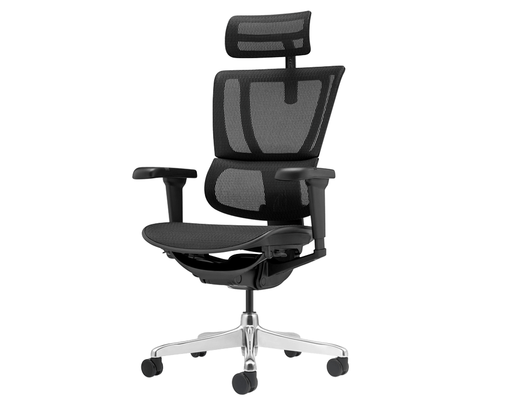 Офис стол Ергономичен стол ERGOHUMAN IOO ULTRA - черна рамка - черен 3