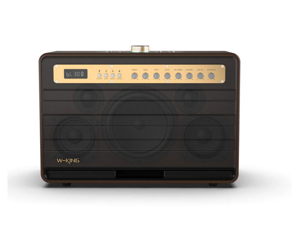 Тонколони W-King Блутут парти колона Bluetooth Party Speaker - K6L - 120W 10