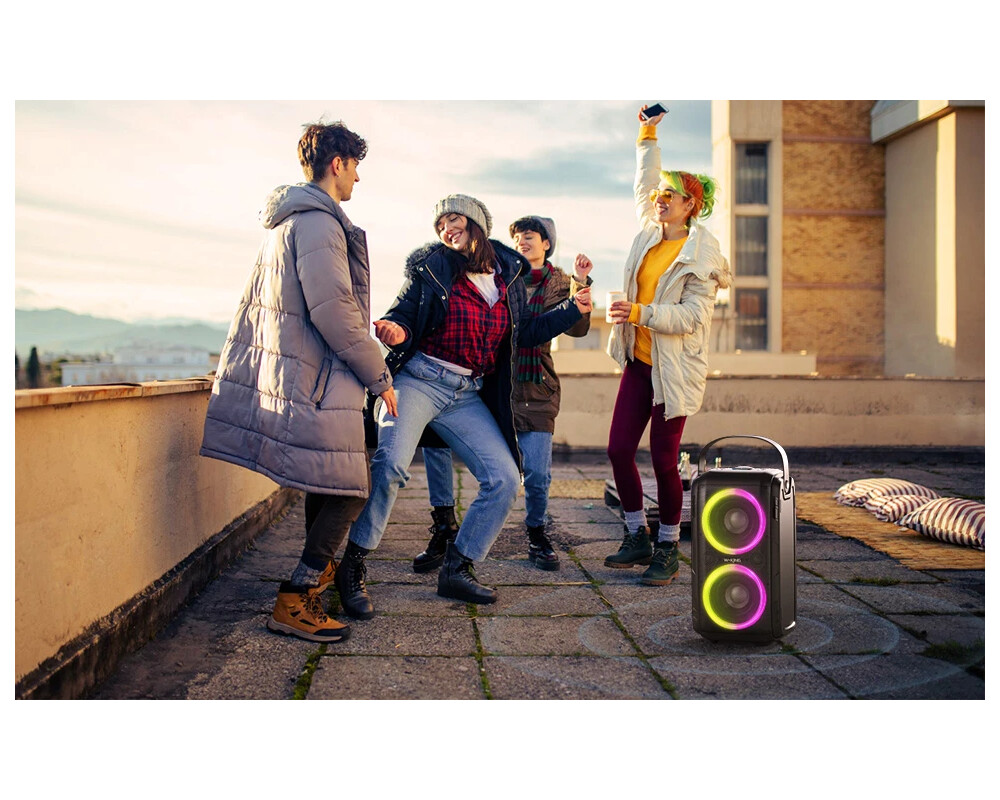 Тонколони W-King Блутут парти колона Bluetooth Party Speaker - T9 Black - 80W 19