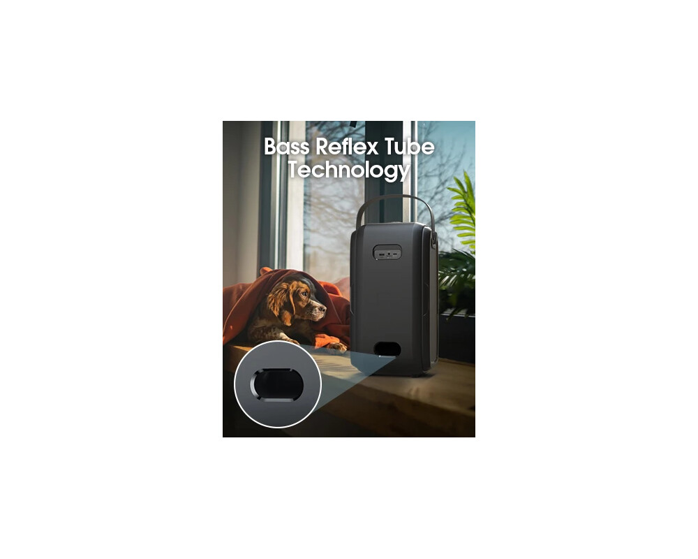 Тонколони W-King Блутут парти колона Bluetooth Party Speaker - T9 Black - 80W 9