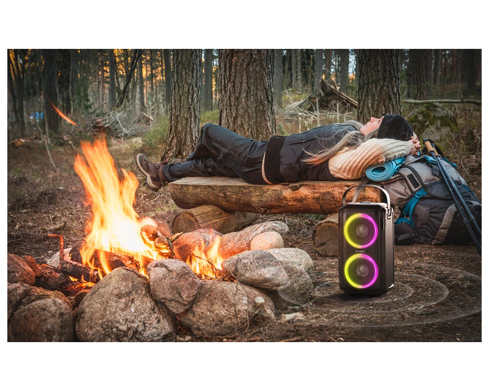 Тонколони W-King Блутут парти колона Bluetooth Party Speaker - T9 Black - 80W 20