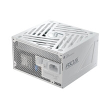  Seasonic ATX 3.1 750W Gold 797973 FOCUS-GX-750-V4-WHITE на топ цена - PIC.bg