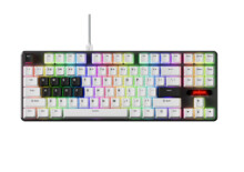  Pulsar професионална геймърска механична клавиатура Professional Gaming Mechanical Keyboard PCMK 2 HE TKL ANSI White - 8K 819144 PCMK2HE801W на топ цена - PIC.bg