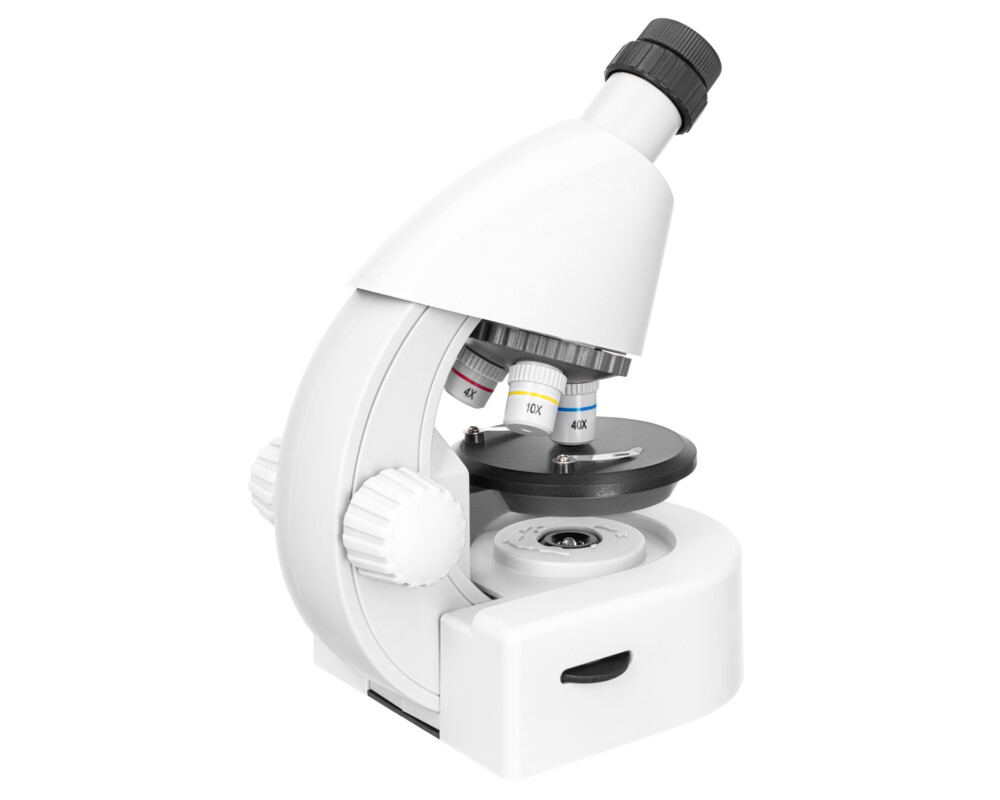 Микроскоп Levenhuk Discovery Micro с книга 61