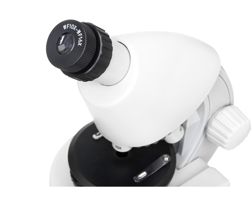 Микроскоп Levenhuk Discovery Micro с книга 46