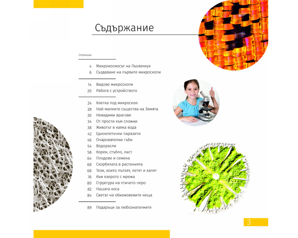 Микроскоп Levenhuk Discovery Atto Polar с книга 34