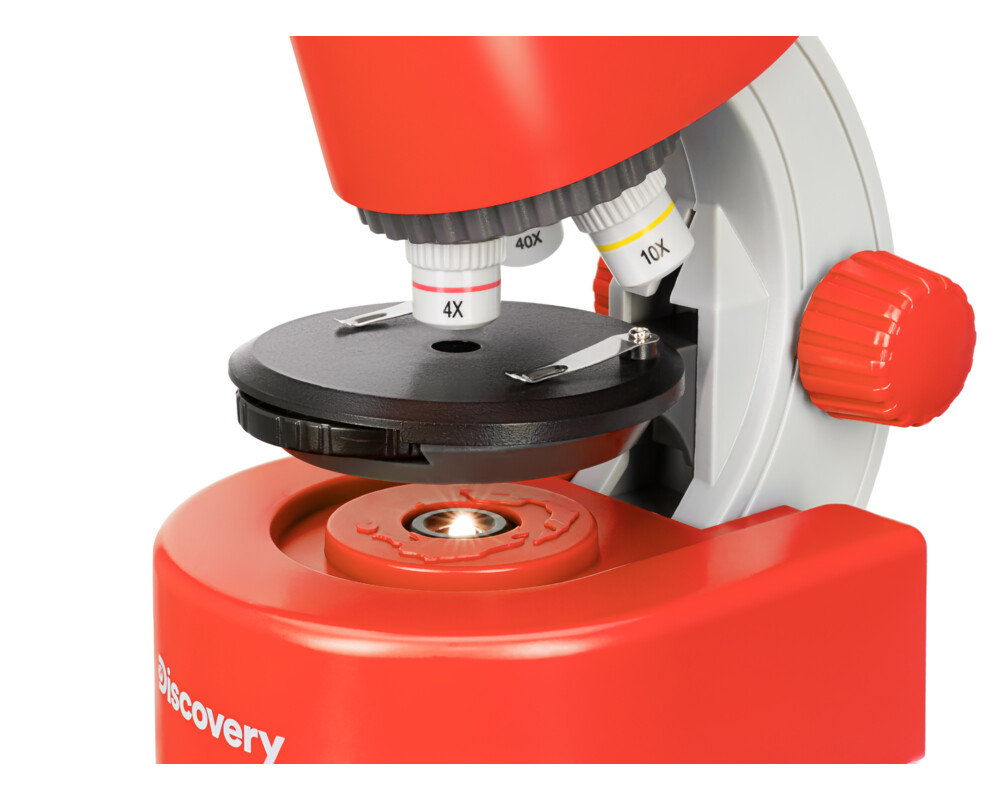 Микроскоп Levenhuk Discovery Micro с книга 81