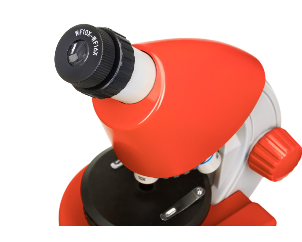 Микроскоп Levenhuk Discovery Micro с книга 46