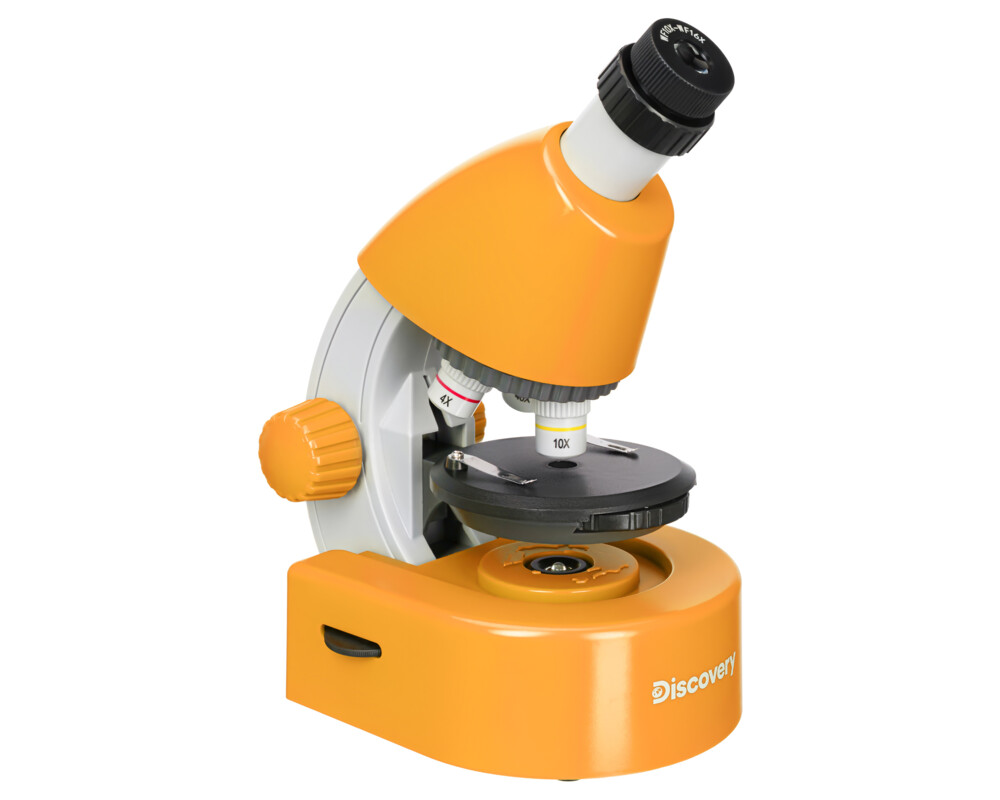 Микроскоп Levenhuk Discovery Micro с книга 10