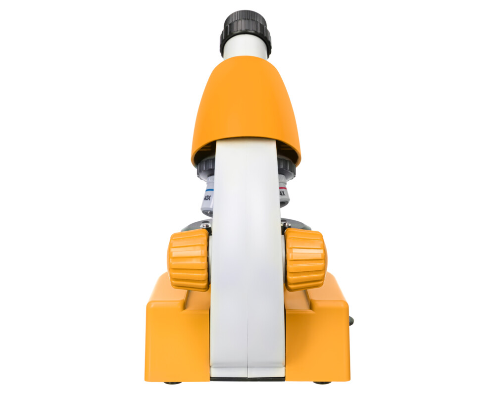 Микроскоп Levenhuk Discovery Micro с книга 12