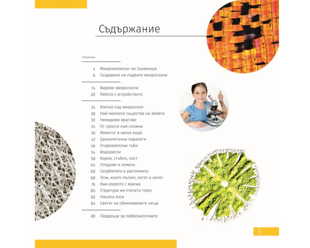Микроскоп Levenhuk Discovery Micro с книга 74