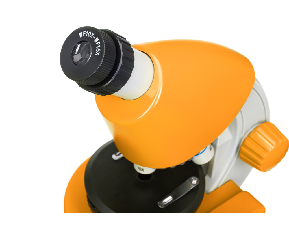 Микроскоп Levenhuk Discovery Micro с книга 13
