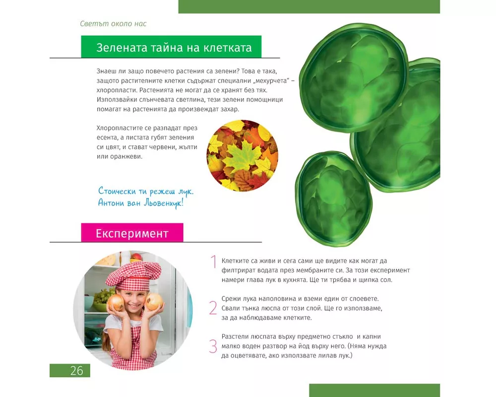 Микроскоп Цифров Levenhuk Discovery Pico Polar с книга 5