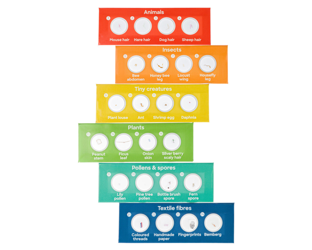 Микроскоп Levenhuk Discovery Centi 01 с книга 64