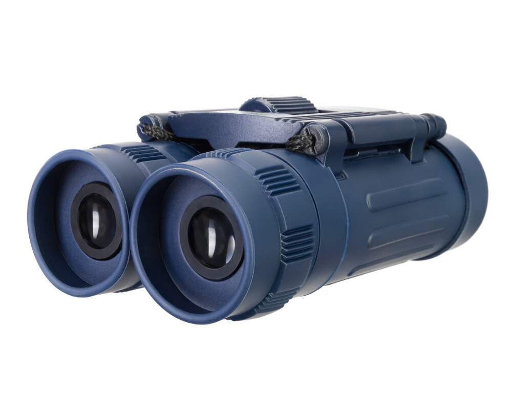 Бинокъл Levenhuk Discovery Basics BB 8x21 33