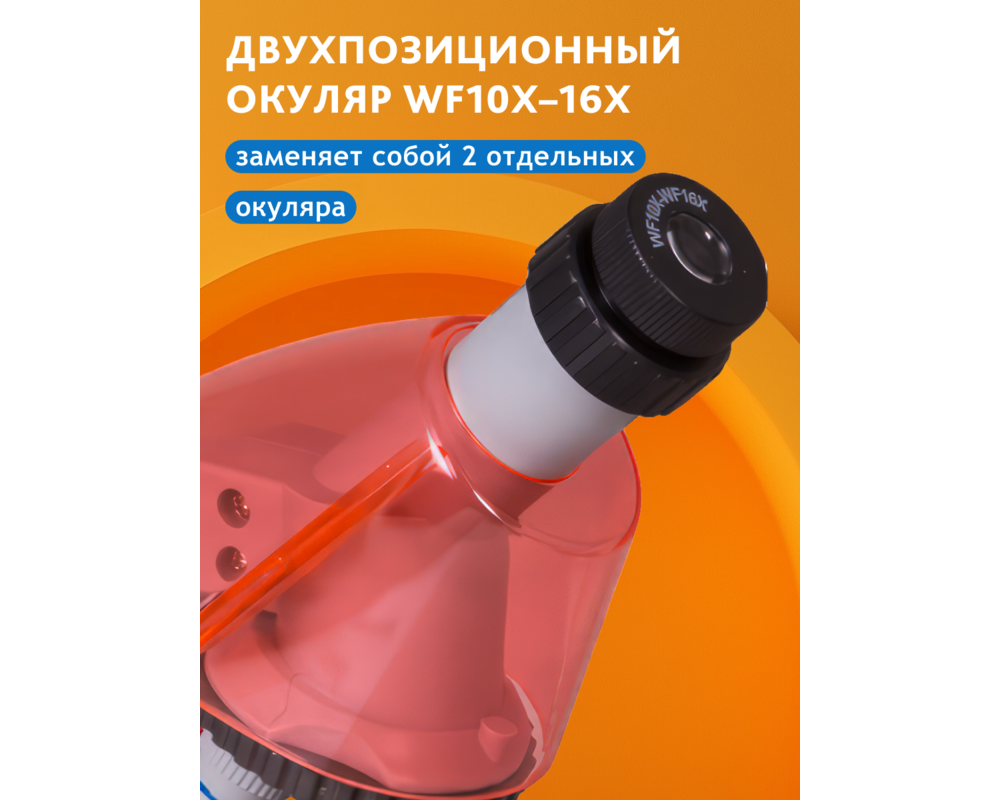 Микроскоп Levenhuk LabZZ M101 27