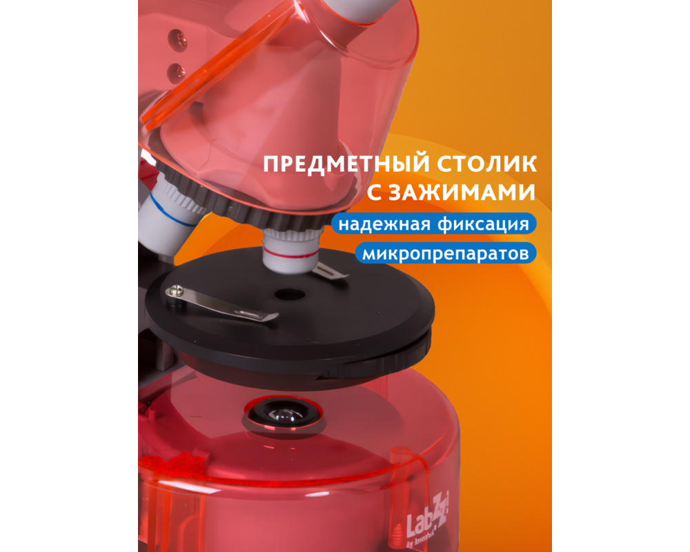 Микроскоп Levenhuk LabZZ M101 30