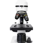 Микроскоп Levenhuk Rainbow 2L 8